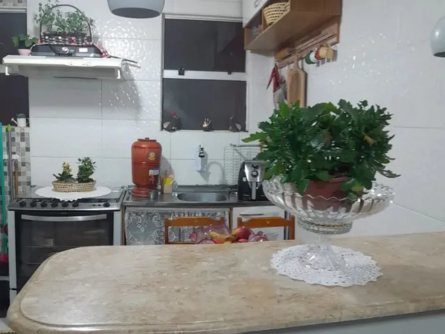 Imagem 4: Apartamento Zona Norte Prox. Saul Elkind