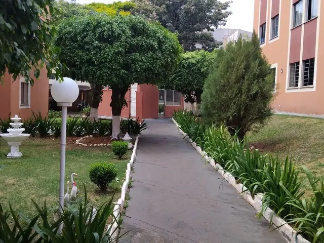 Imagem 11: Apartamento Zona Norte Prox. Saul Elkind