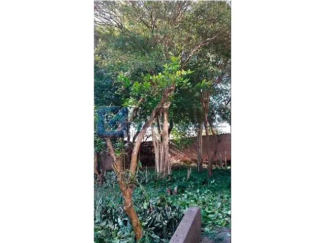 Imagem 3: 2597, Terreno, À Venda, À Venda, 1.383.000,00,Centro, São Bernardo do Campo