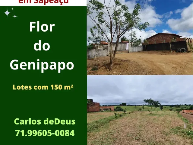 Imagem: Flor do Genipapo, Lotes com 150 M², Vista