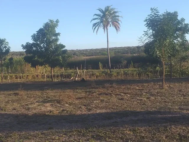 Imagem: Fazenda Ipira 109 Tarefas Oportunidade 280