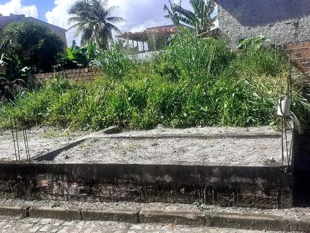Imagem 6: Terreno em Salinas das Margarinas