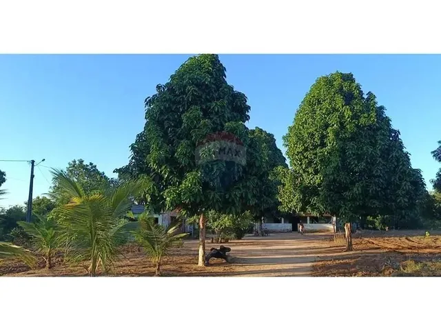 Imagem 4: Refúgio Tranquilo
