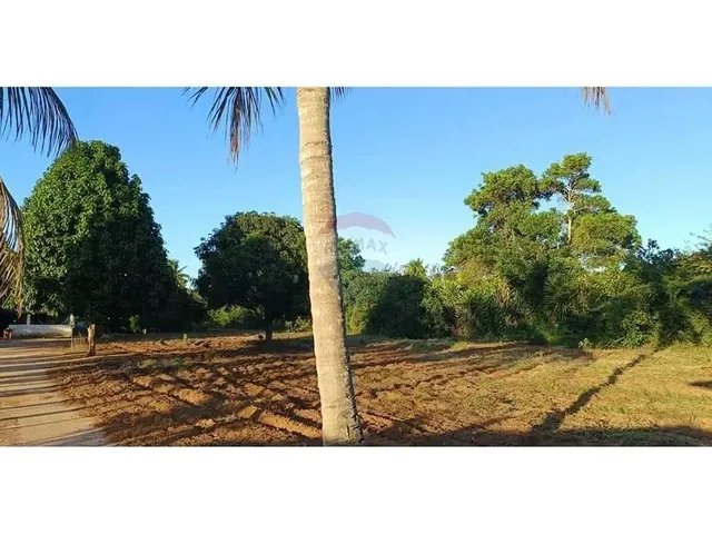 Imagem 2: Refúgio Tranquilo