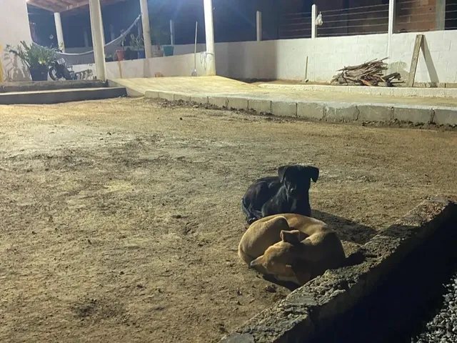 Imagem: Mini Sítio