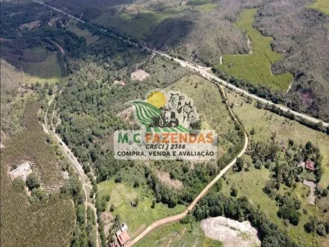 Imagem 4: Fazenda Às Margens da Br 101 em Alagoinhas-Ba