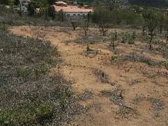 Imagem: Vende-Se Terreno em Povoado de Itaberaba