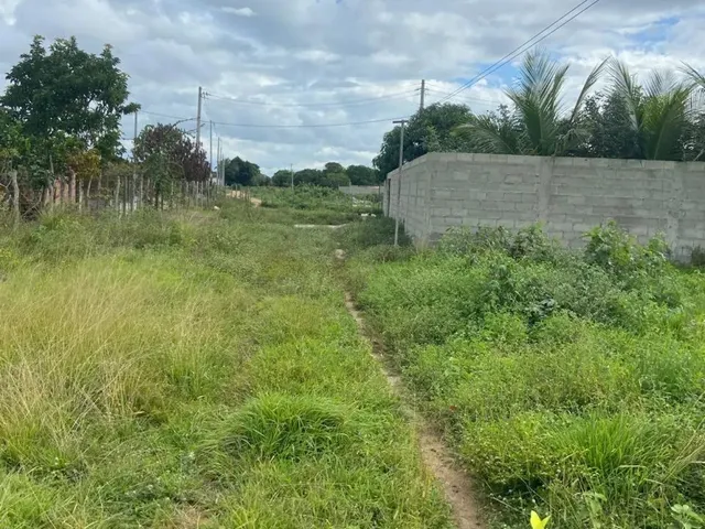 Imagem: Vendo Terreno na Principal da Mantiba