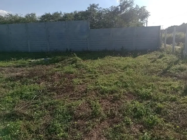 Imagem: Terreno no Distrito da Matinha, Valor para