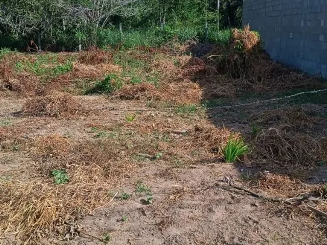 Imagem: Terreno 6 por 25 a 300 Metros da Noide