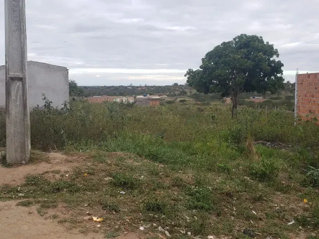 Imagem 3: Terreno 5 Mil. Oportunidade Imperdível