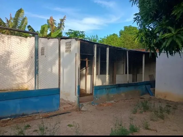 Imagem 14: Vendo Chácara em Alagoinhas-Ba