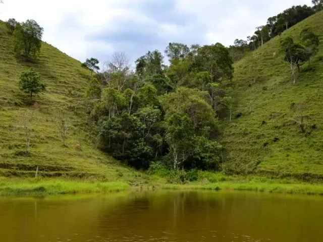 Imagem 2: Sitio a Venda Ótima Oportunidade