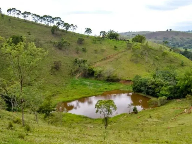 Imagem 3: Sitio a Venda Ótima Oportunidade