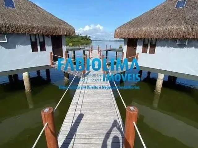 Imagem 8: Ilha Particular na Barra do Paraguaçu, Salinas da Margarida