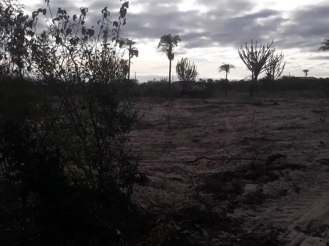 Imagem: Tarefa de Terra