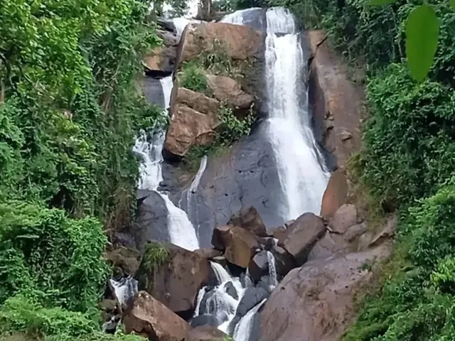 Imagem: Venda-Se 2 Alqueires e 10 Litros de Mata