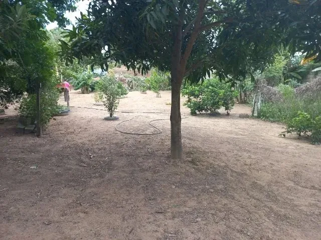 Imagem: Chácara Medindo 1150 Mts Zona Rural de