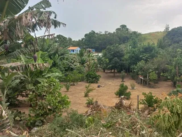 Imagem 3: Chácara Medindo 1150 Mts Zona Rural de Marataizes:imburi