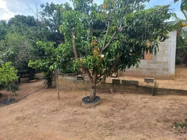 Imagem 11: Chácara Medindo 1150 Mts Zona Rural de Marataizes:imburi