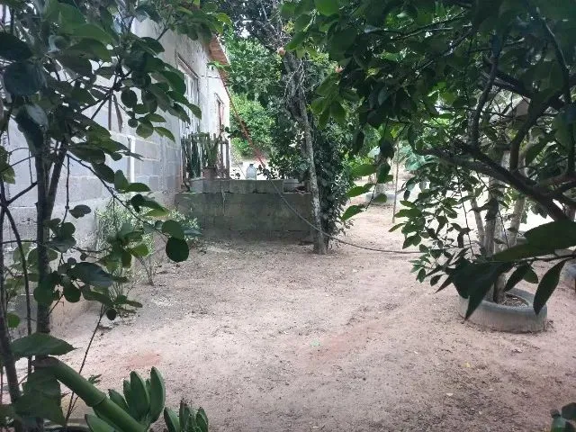 Imagem 6: Chácara Medindo 1150 Mts Zona Rural de Marataizes:imburi