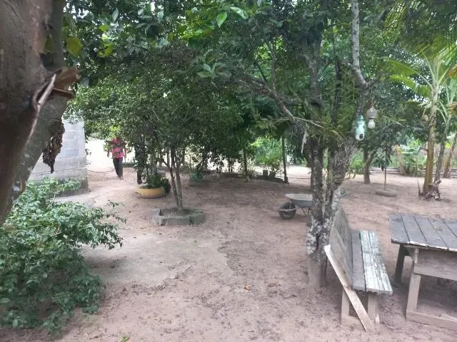 Imagem 13: Chácara Medindo 1150 Mts Zona Rural de Marataizes:imburi