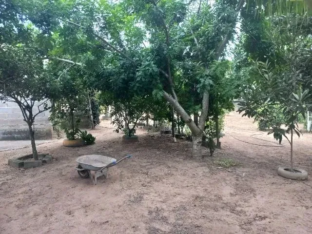Imagem 16: Chácara Medindo 1150 Mts Zona Rural de Marataizes:imburi