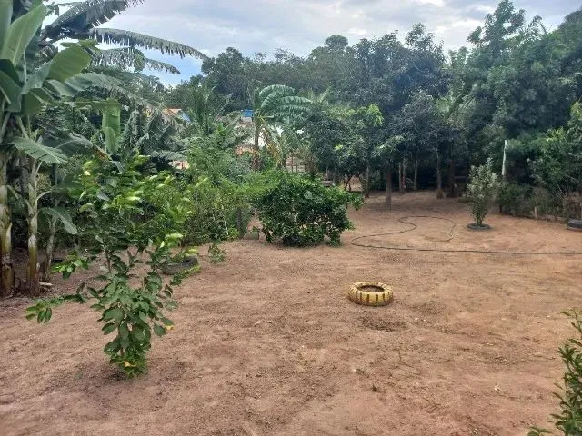 Imagem 14: Chácara Medindo 1150 Mts Zona Rural de Marataizes:imburi