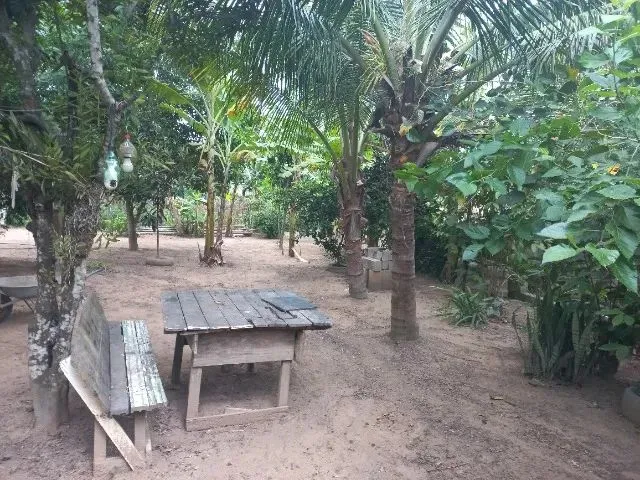 Imagem 12: Chácara Medindo 1150 Mts Zona Rural de Marataizes:imburi