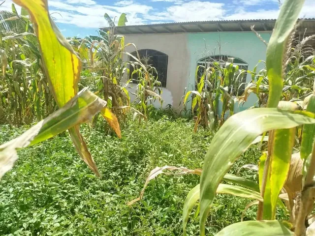Imagem: Venda-Se Este Terreno de 1312,46 M2 no Município
