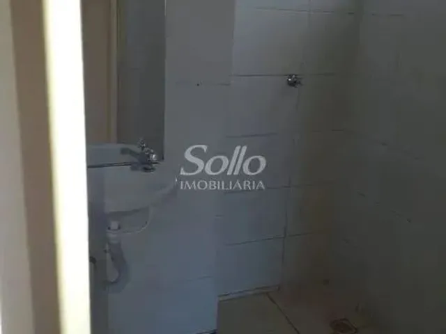Imagem 8: Aluguel Apartamento Mansour