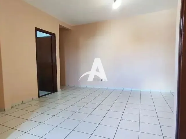 Imagem 11: Aluguel Apartamento Finotti