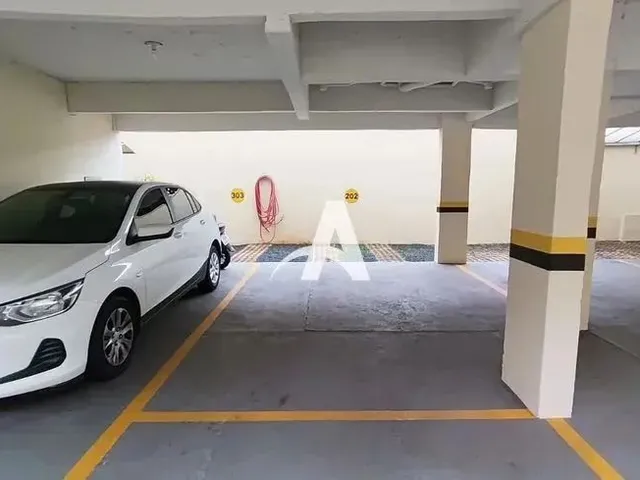 Imagem 8: Aluguel Apartamento santa Mônica