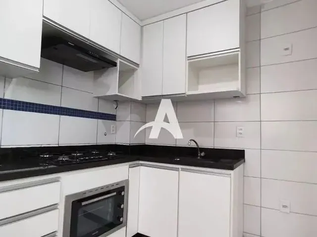 Imagem 10: Aluguel Apartamento santa Mônica