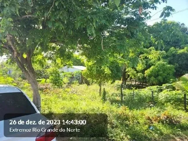 Imagem: Oportunidade Única em Extremoz - Rn Tipo