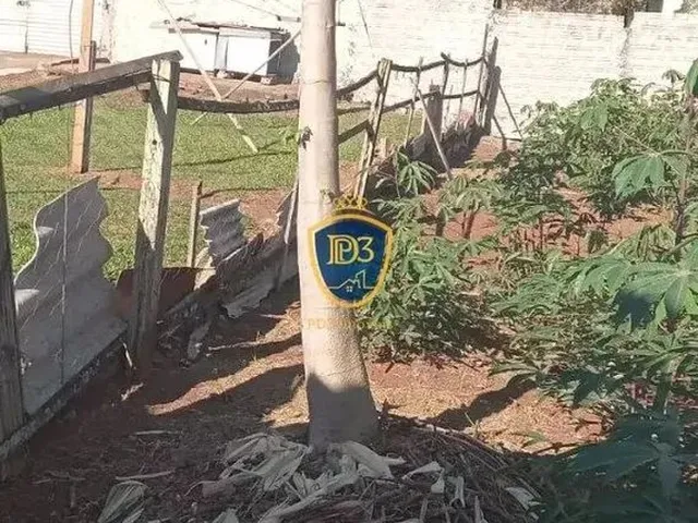Imagem 5: Casa para Venda, 3 Quarto(S), - Ponta Grossa