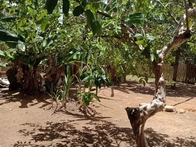 Imagem 2: Chácara Dentro da Cidade com Casa