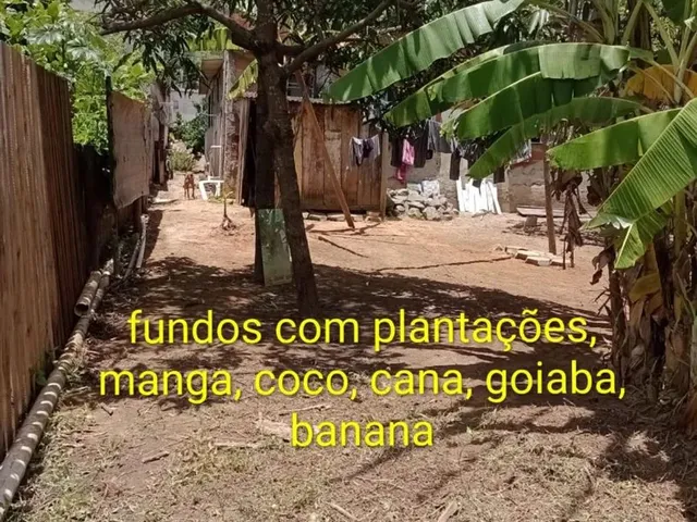 Imagem 6: Chácara Dentro da Cidade com Casa