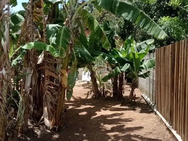 Imagem 8: Chácara Dentro da Cidade com Casa