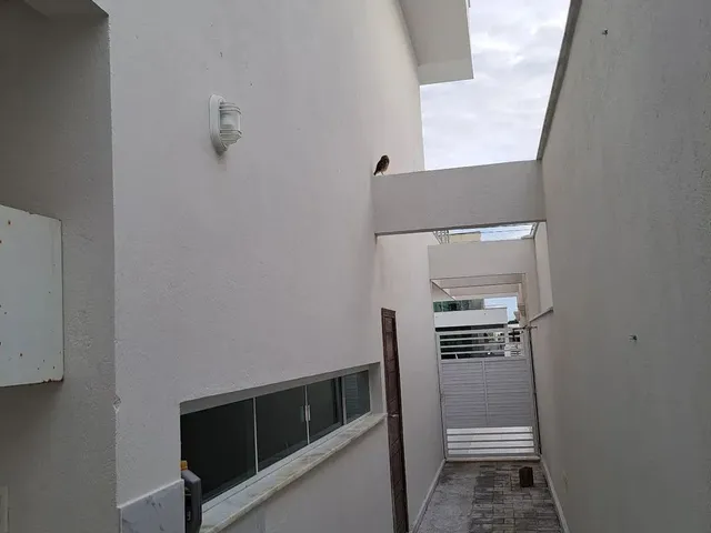 Imagem 13: .
