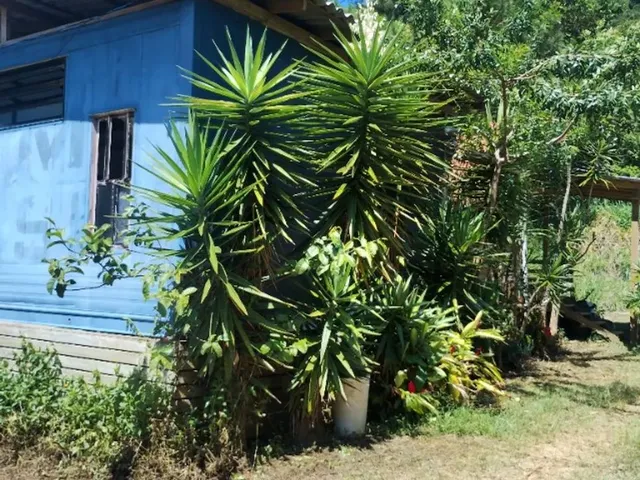Imagem 10: Aluguel Anual - Casa com 2 Dormitórios, Terreno Amplo - Fortaleza da Barra