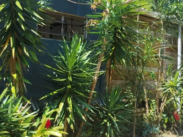Imagem 14: Aluguel Anual - Casa com 2 Dormitórios, Terreno Amplo - Fortaleza da Barra
