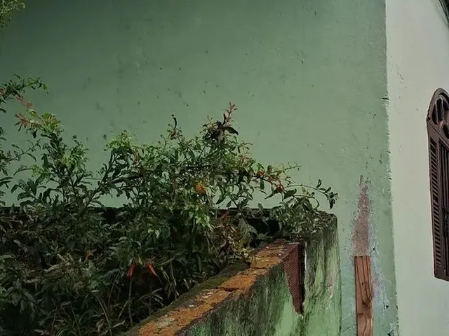 Imagem: Casa em Vila Visconde de Araujo