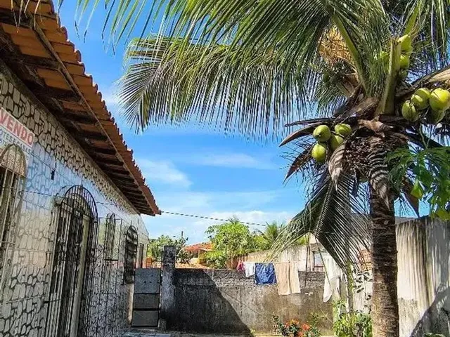 Imagem 13: Excelente Casa 3 Quartos Sendo 1 Suíte e Quintal, Jardim em Excelente Localização Em