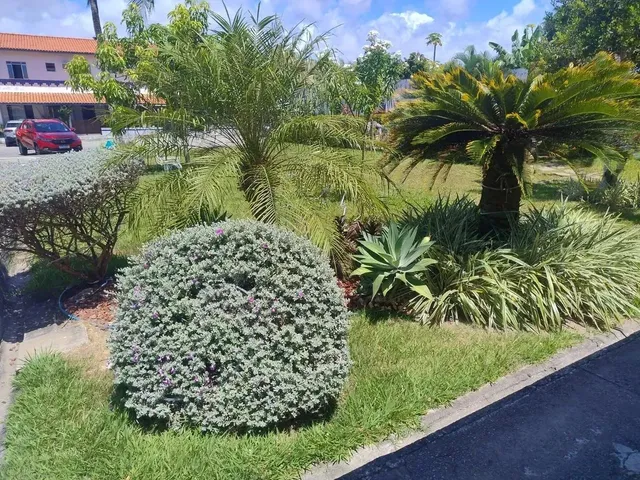 Imagem 13: Vilage Duplex em Pitangueiras com 2/4