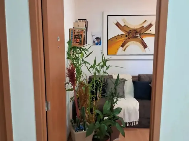 Imagem 9: Apartamento À Venda Cond. Solar Maiorca