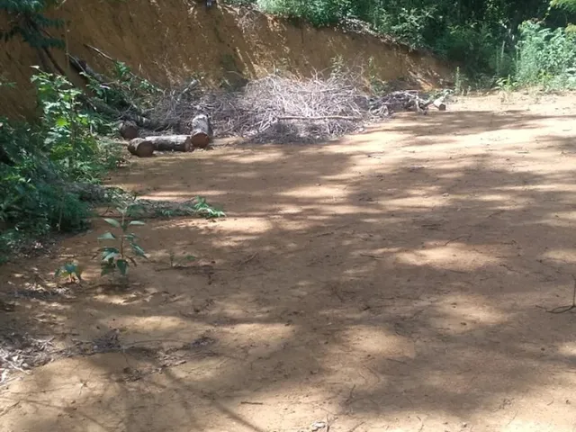 Imagem 5: Chácara no Interior de Guarapari