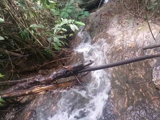 Imagem 7: Chácara no Interior de Guarapari