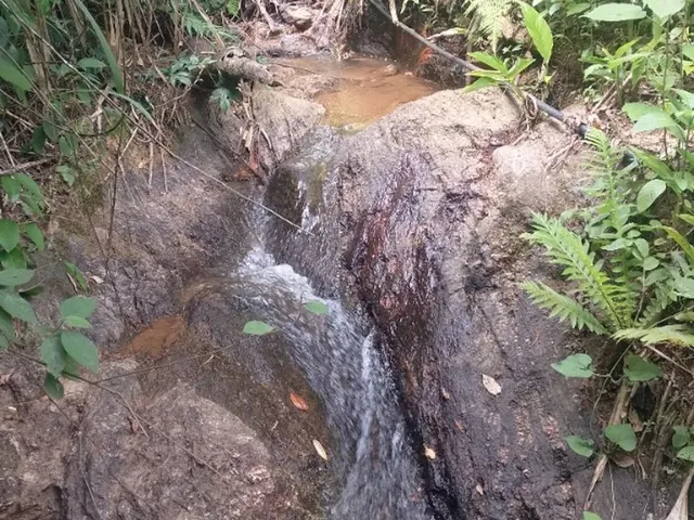 Imagem 2: Chácara no Interior de Guarapari