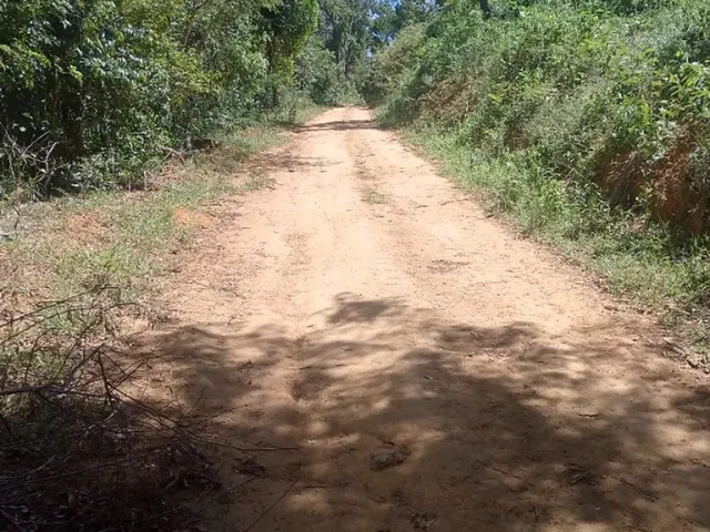 Imagem 9: Chácara no Interior de Guarapari